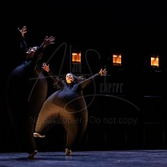 Terre 20220127 042.jpg