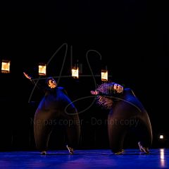 Terre 20220127 043.jpg