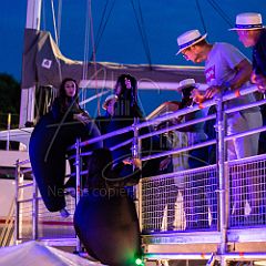 Terre 20190727_005 CPR.jpg