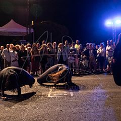 Terre 20190727_013 CPR.jpg