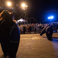 Terre 20190727_015 CPR.jpg