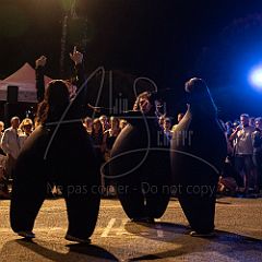 Terre 20190727_044 CPR.jpg