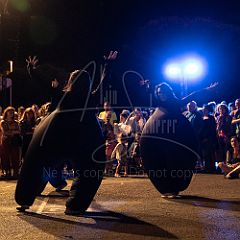 Terre 20190727_046 CPR.jpg