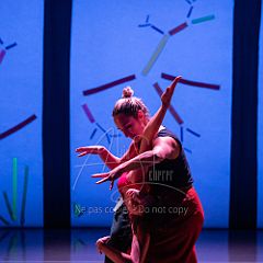 Bloom 20251106 004.jpg