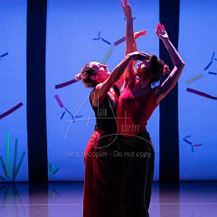 Bloom 20251106 005-2.jpg