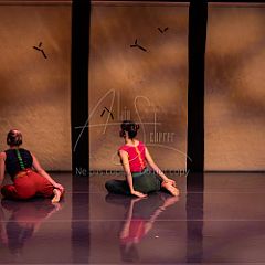 Bloom 20251106 017.jpg