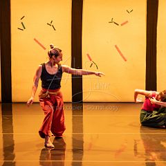 Bloom 20251106 023.jpg