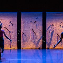 Bloom 20251106 045.jpg