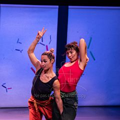 Bloom 20251106 073.jpg