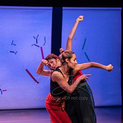 Bloom 20251106 076.jpg