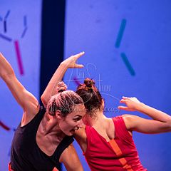 Bloom 20251106 081.jpg