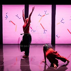 Bloom 20251106 092.jpg