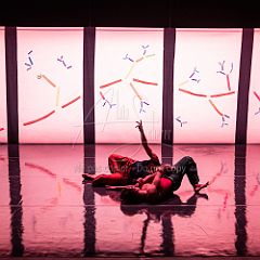 Bloom 20251106 094.jpg