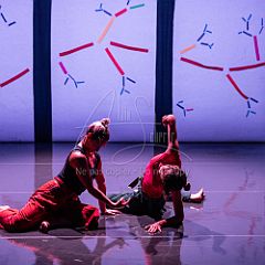 Bloom 20251106 095.jpg