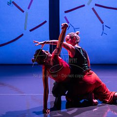 Bloom 20251106 100.jpg