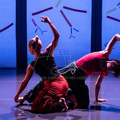 Bloom 20251106 102.jpg