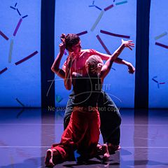 Bloom 20251106 103.jpg