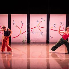 Bloom 20251106 109.jpg