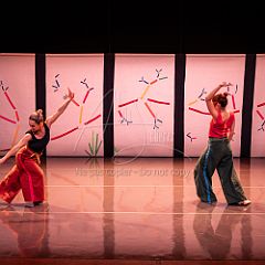 Bloom 20251106 110.jpg