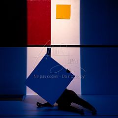 Feuilles 20220411 119.jpg