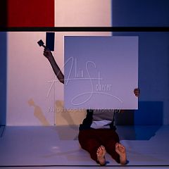 Feuilles 20220411 121.jpg