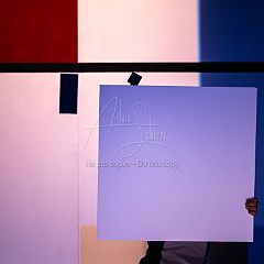 Feuilles 20220411 122-2.jpg