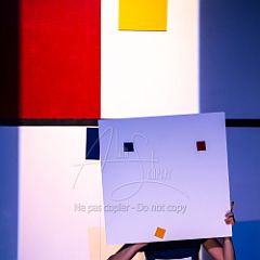 Feuilles 20220411 125.jpg