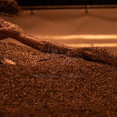 Quartz 20230824 124.jpg