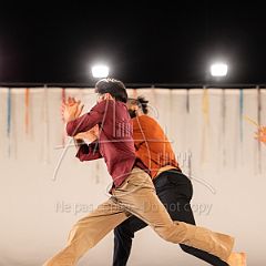 DeLoinSiPrès 20240403 054.jpg