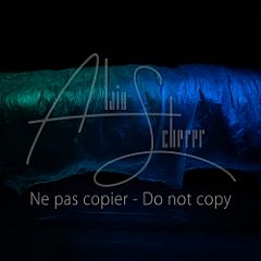 GrainsDeVolutes 20211130 028.jpg