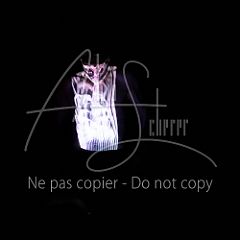 GrainsDeVolutes 20211130 099.jpg