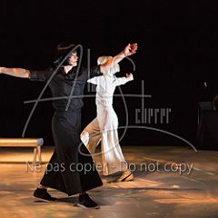 LaisseTomberLaNuit 20180112 004.jpg