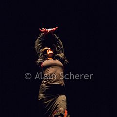 TheRareBirds Cristina_20170131_006 CPR.jpg