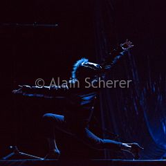 TheRareBirds Jann_20170131_005 CPR.jpg