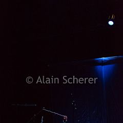 TheRareBirds Jann_20170131_008 CPR.jpg