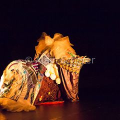 Kimonoshima 20160318_007 CPR.jpg