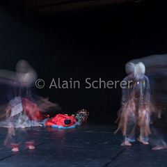 Kimonoshima 20160318_068 CPR.jpg