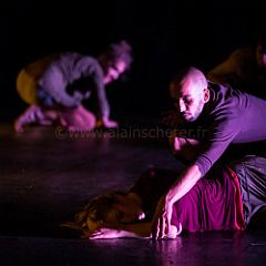 Errata 20130519_1379 CPR.jpg