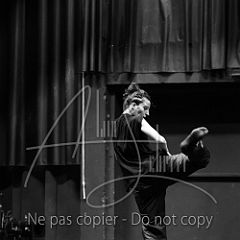 JadeCommaret-Solo 20231015 005.jpg