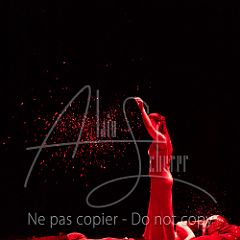 FinDamnées 20250322 042.jpg