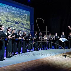 Stars 20250401 022.jpg