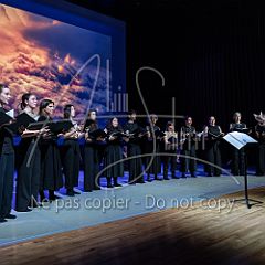 Stars 20250401 025.jpg