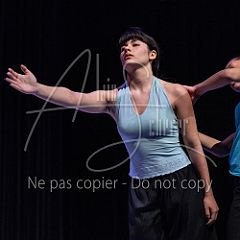 Stars 20250401 031.jpg