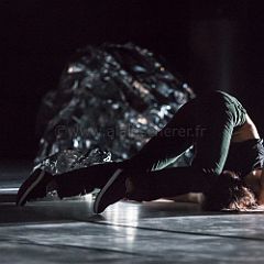 SPEKIES 20140213_063 CPR.jpg