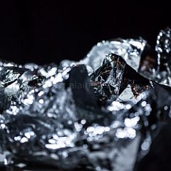 SPEKIES 20140213_071 CPR.jpg