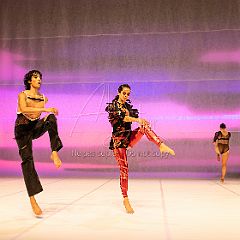 LesOiseaux 20250629 007.jpg