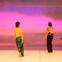 LesOiseaux 20250629 009.jpg