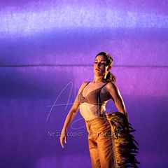 LesOiseaux 20250629 039.jpg