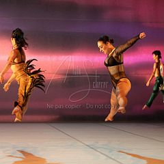 LesOiseaux 20250629 040.jpg