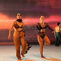 LesOiseaux 20250629 041.jpg